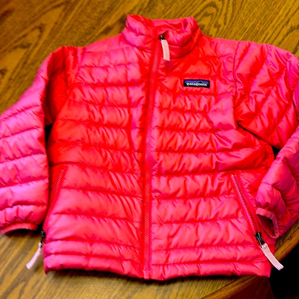 Patagonia Down Sweater 4T